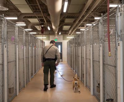Shelter officer walking dog out of shelter with rows of empty kennels